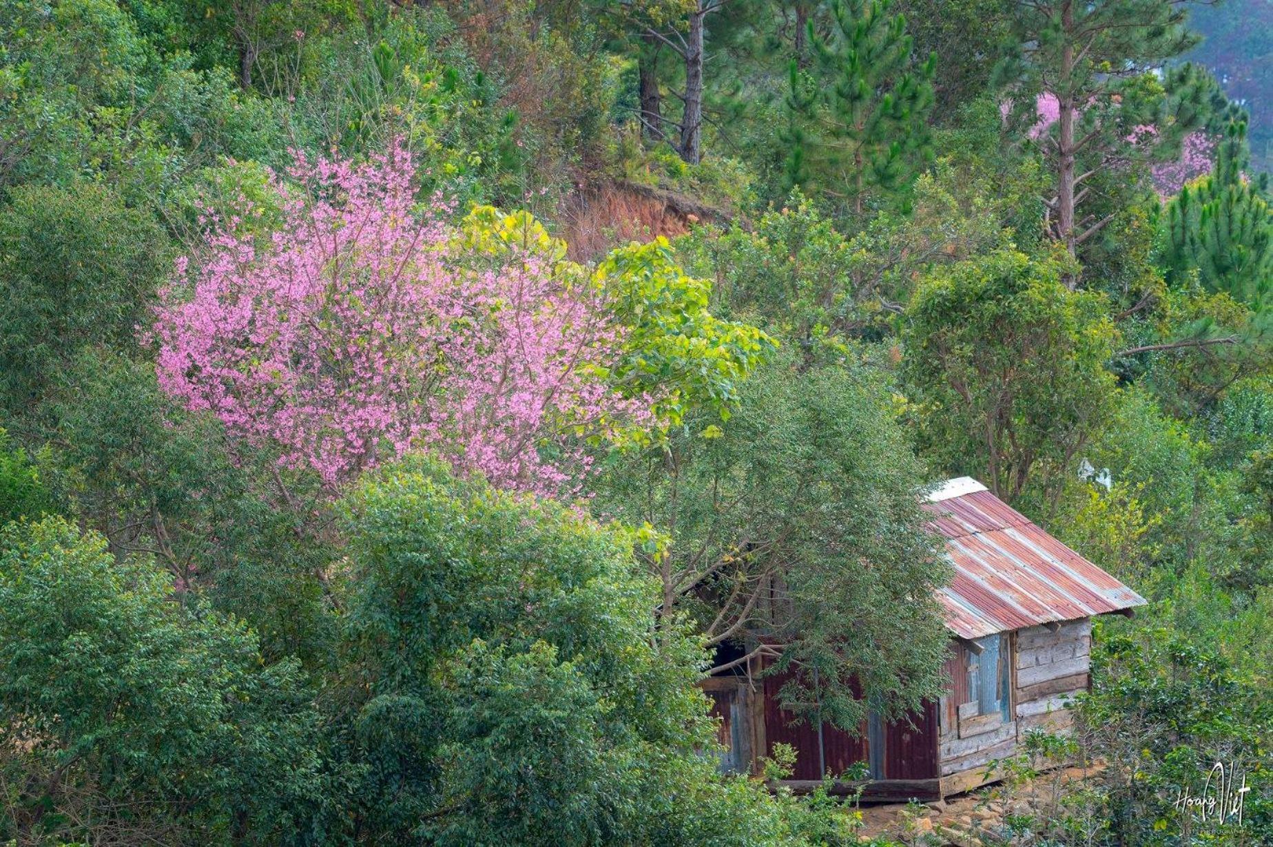 Moc Nhien Hostel Đà Lạt Exterior foto